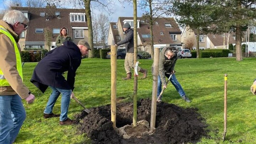 Bomen planten