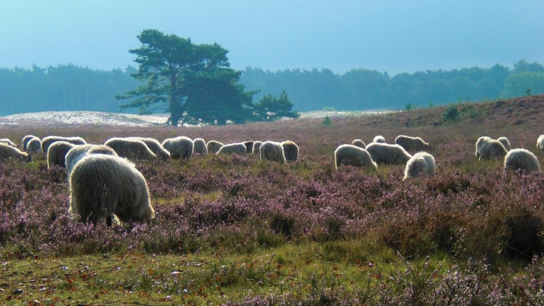 Extra bijdrage voor Goois Natuurreservaat (GNR) Extra bijdrage voor Goois Natuurreservaat (GNR)